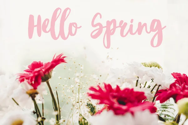Hello Spring Text Sign Pink Gerbera White Daisy Green Chrysanthemum — Stock Photo, Image