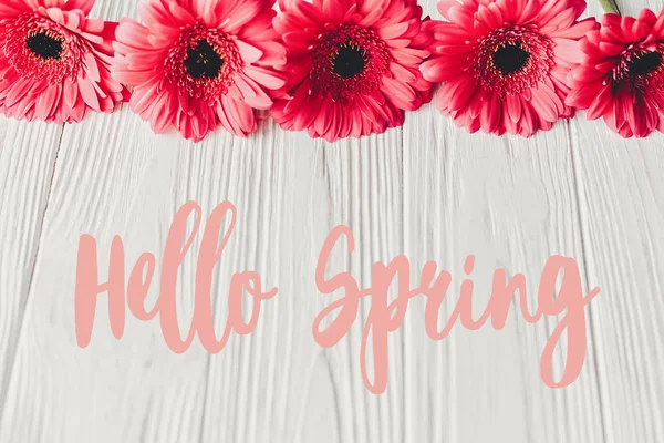 Hello Spring Text Sign Pink Gerbera White Wooden Background — Stock Photo, Image