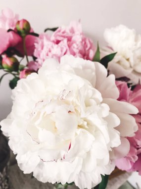 Güzel büyük beyaz şakayık ve şık komodinin üzerinde vazoda pembe peonies. Merhaba bahar. Mutlu anneler günü