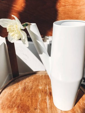 Güneşli ışık rustik ahşap sandalye beyaz şık sulama içinde şık nergis giyebilirsiniz. Taze sarı çiçek, kırsal natürmort. Merhaba bahar. Anneler günün kutlu olsun. Modern dekor tasarımı, çiçek metal huni