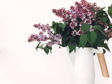 Kapalı beyaz arka plan üzerinde beyaz şık sulama olabilir güzel leylak çiçeklenir. Modern dekor tasarımı, bambu ile metal huni vazoda Mor Lila baş. Mutlu anneler günü