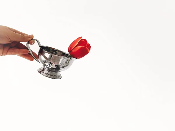 Ruka Držící Stylové Vintage Kovov Kytičkový Červený Tulipán Izolované Bílém — Stock fotografie