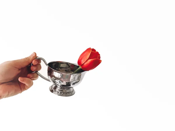 Ruka Držící Stylové Vintage Kovov Kytičkový Červený Tulipán Izolované Bílém — Stock fotografie