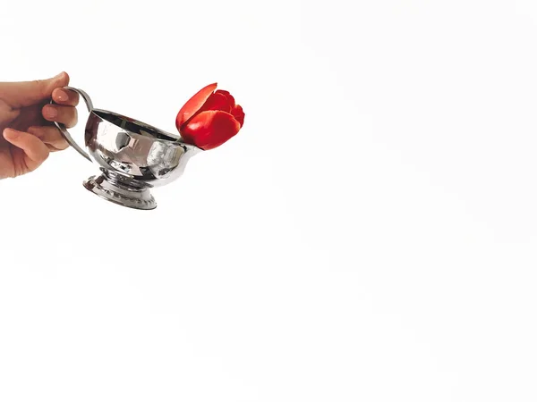 こんにちは 春のコンセプトは スタイリッシュな創造的なイメージ コピーの領域を白で隔離赤いチューリップの花を持つスタイリッシュなビンテージ金属のカップを持つ手 優しいケアのアイデア 花を保存 香りの新鮮な香りのコンセプト — ストック写真