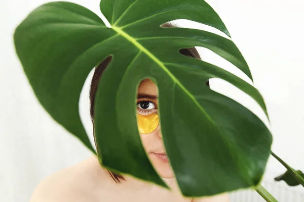 Doğal Cilt Göz Yeşil Palmiye Yaprak Altında Kaldırma Kırışıklık Kollajen — Stok fotoğraf
