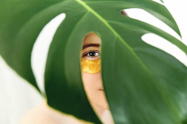 Altın Jel Yama Yeşil Palmiye Yaprağı Yaratıcı Güzellik Fotoğraf Göz — Stok fotoğraf