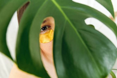 Eye Skin Care and Treatment. Portrait of beautiful young woman with golden eye patch under green palm leaf, creative beauty photo. Girl with lifting anti-wrinkle collagen patches under eyes. Cosmetics clipart