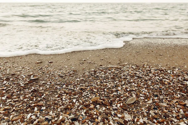 Plage Sable Avec Coquillages Pierres Vagues Près Bord Mer Vacances — Photo