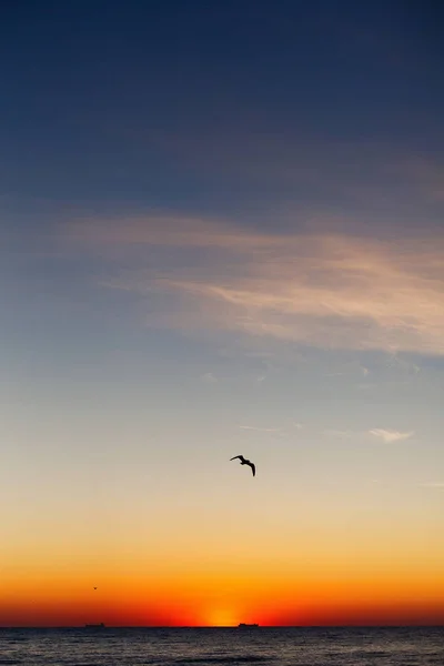 Gökyüzünde Güneş Doğarken Denize Uçan Martıları Güzel Manzarasına Güneşin Doğuşunu — Stok fotoğraf