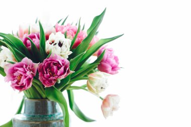 Güzel Çift Kişilik Şakayık Lale ışık. Pembe ve mor renkli Lale beyaz kopya alanı ile. Mutlu anneler günü. Dünya Kadınlar Günü. Merhaba bahar. Tebrik kartı mockup