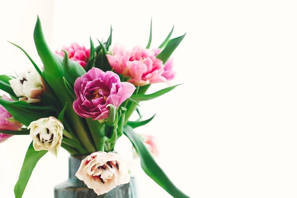 Розовые Фиолетовые Тюльпаны Мягком Свете Двойные Тюльпаны Пиона Изолированные Белом — стоковое фото