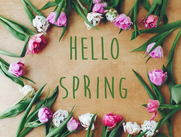 Hello Spring Text Sign Beautiful Double Peony Tulips Frame Flat — Stock Photo, Image