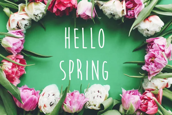 Hello Spring Text Sign Beautiful Double Peony Tulips Frame Flat — Stock Photo, Image