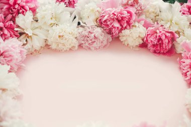Şık pembe ve beyaz peonies çerçeve pembe kağıt düz yatırın