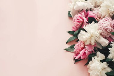 Şık pembe ve beyaz peonies sınır üzerinde pembe kağıt düz yatıyordu zekâ