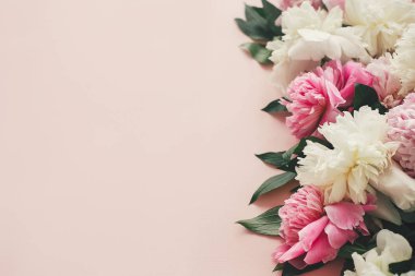 Şık pembe ve beyaz peonies sınır üzerinde pembe kağıt düz yatıyordu zekâ