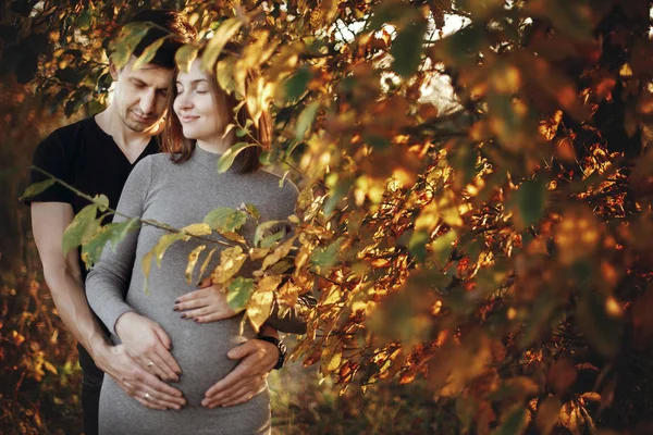 배꼽에서 밝은 빛에서에 손을 세련 된 임신 몇 잡고 — 스톡 사진