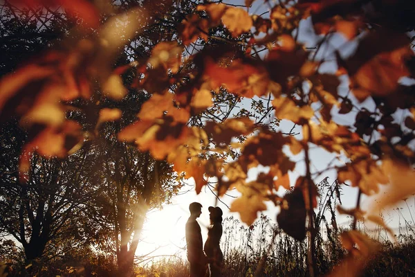 Podniku stylového těhotná pár ruce na břicho v sluneční světlo v — Stock fotografie