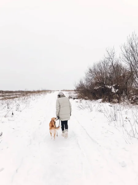 Elegante hipster menina andando com bonito cão dourado no frio nevado — Fotografia de Stock