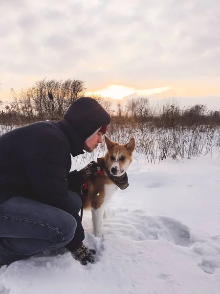 Стильный хипстер гуляет с милой золотой собакой в снежном холоде. — стоковое фото