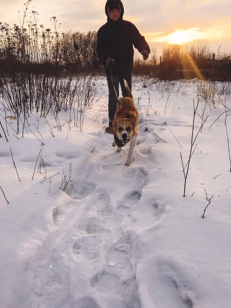Hipster stylowy człowiek działa z złoty pies w snowy zimny p — Zdjęcie stockowe