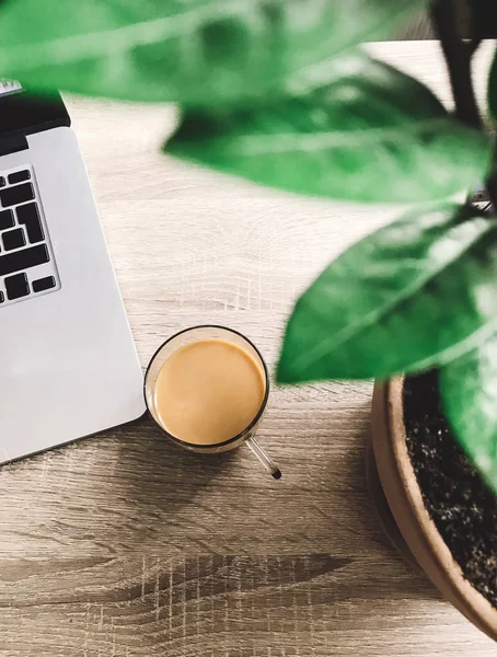 Concept freelance. Vue du dessus du café en tasse en verre et ordinateur portable sur — Photo