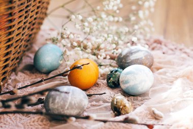 Bahar çiçekleri ve Söğüt dalları r ile şık Paskalya yumurtaları