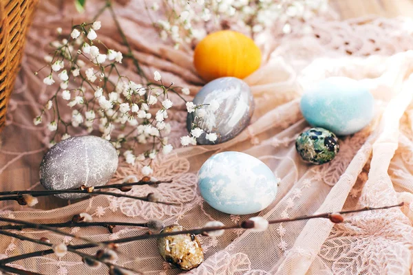 时尚的复活节彩蛋, 春花和柳枝 — 图库照片