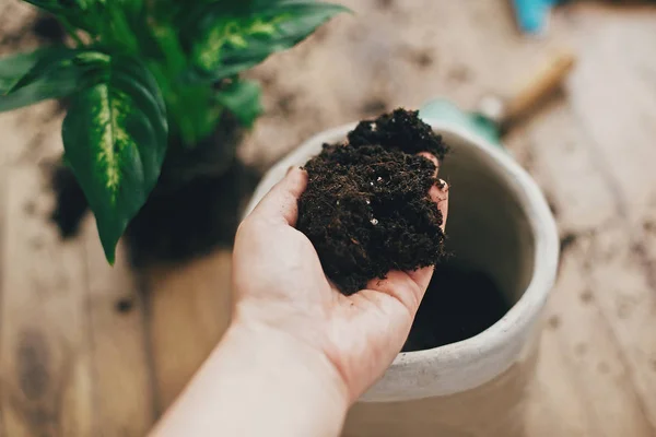 Repotting concept de plante. Mâna murdară ține solul nou în gol — Fotografie, imagine de stoc