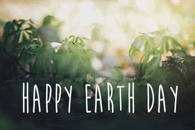 Mutlu Dünya Günü metin, tabelada sunn güzel anemon çiçeği.