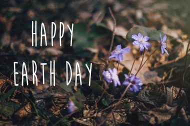 Mutlu Dünya Günü metin, güzel mor mantarı çiçek işareti 