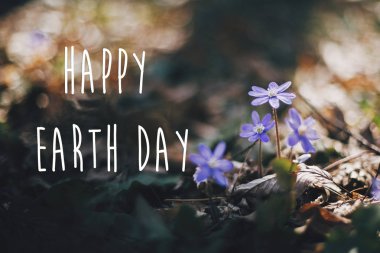 Mutlu Dünya Günü metin, güzel mor mantarı çiçek işareti 