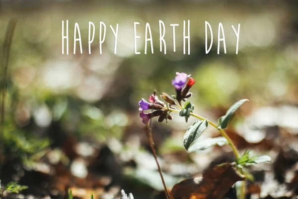 Happy Earth Day text, sign on beautiful  pulmonaria lungwort flo — Stock Photo, Image