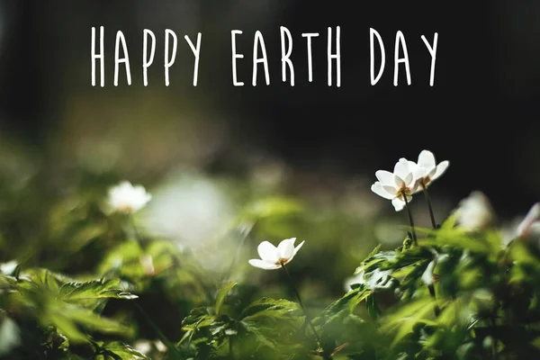 Texto feliz do Dia da Terra, assine lindas flores de anêmonas na sunn — Fotografia de Stock
