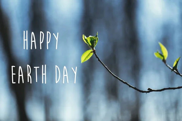 Joyeux Jour de la Terre texte, signe sur les bourgeons et les feuilles vertes fraîches sur tre — Photo