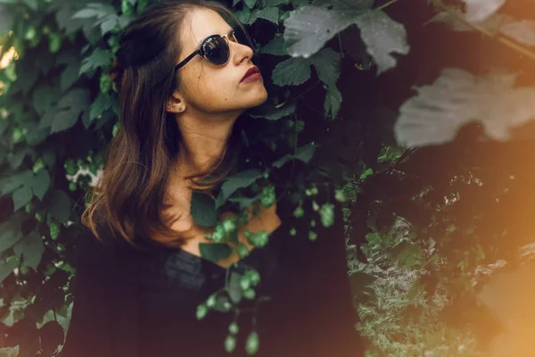 Stylish hipster girl posing at green hop bush, atmospheric momen — Stock Photo, Image