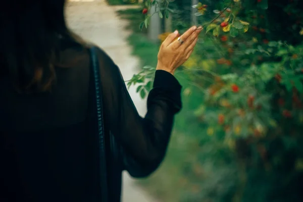 Menina hipster elegante andando em luz ensolarada no parque, atmosférica — Fotografia de Stock