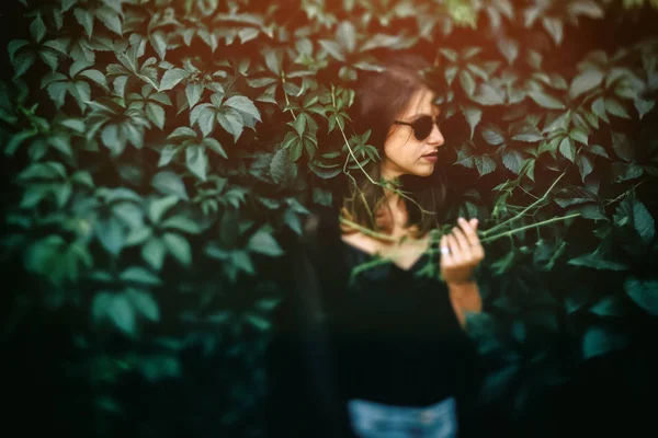 Yeşil yaprakları çalı, atmosferik mo poz Şık hipster kız — Stok fotoğraf