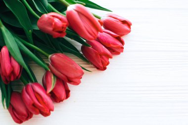 Mutlu Anneler günü. Beyaz ahşap backgrou üzerinde güzel kırmızı laleler