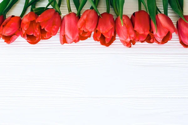 Bellissimi tulipani rossi su sfondo bianco in legno posa piatta. Felice. — Foto Stock
