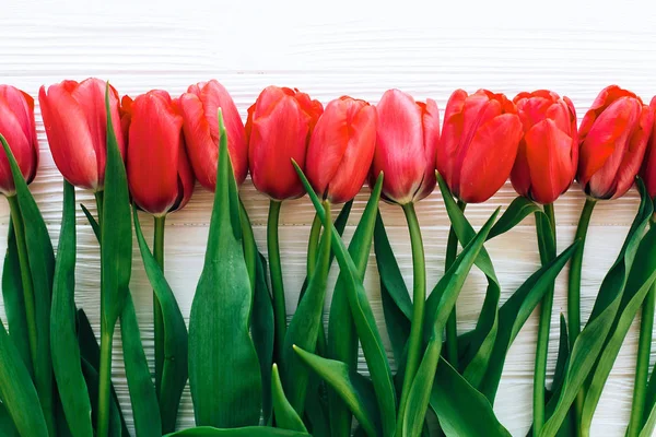 Olá conceito primavera. Tulipas vermelhas bonitas na parte traseira de madeira branca — Fotografia de Stock