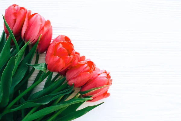 Gyönyörű piros tulipánok a fehér fa háttér lakás feküdt. boldog — Stock Fotó