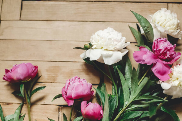 Beautiful pink and white peonies on rustic wooden floor , flat l
