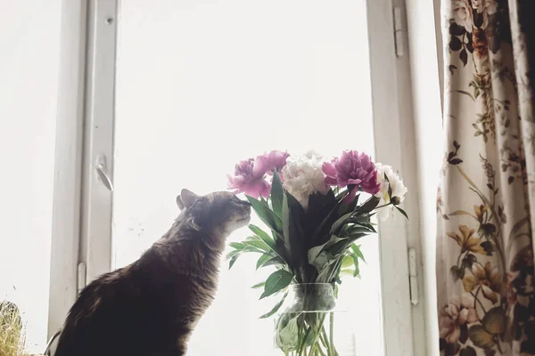 Cat profumato bel bouquet di peonie rosa e bianche a rustico — Foto Stock