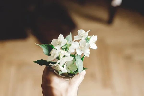 Hand houden van mooie jasmijn bloemen op tak in glazen pot op — Stockfoto