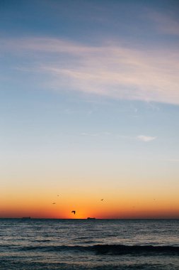 Güzel güneş doğuşu ve deniz dalgası üzerinde kırmızı gökyüzünde uçan martılar