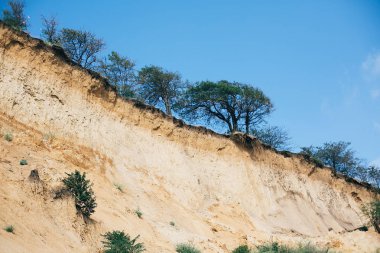 Mavi arka planda çim ve ağaçlar ile güzel kumlu uçurum