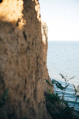 Çim ve sakin deniz yüzeyi ile güzel kumlu uçurum. Plaj üzerinde