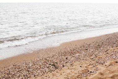 Güzel deniz dalgaları köpük closeup ve deniz kabukları ile kumlu plaj 
