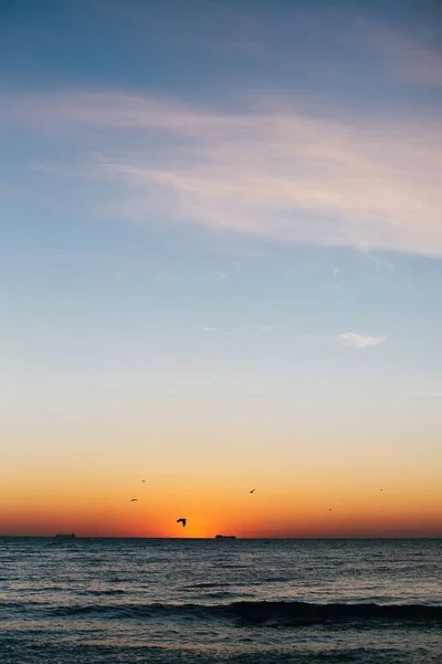 Hermosa salida del sol y gaviotas volando en el cielo rojo sobre las olas del mar — Foto de Stock